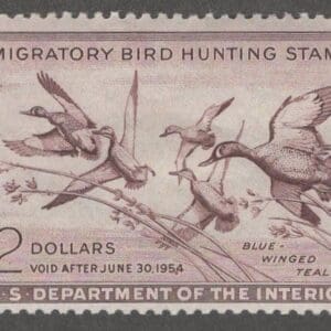 Scott# RW20 "DUCK STAMP" 1953 "BLUE WINGED TEAL" MINT