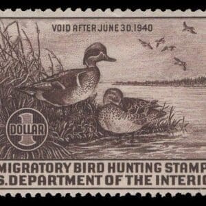 Scott# RW6 "DUCK STAMP" 1939 TEALS, MINT, NICELY CENTERED