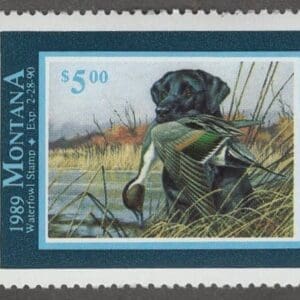 Scott# MT1 "1989 MONTANA STATE DUCK" MNH, NICELY CENTERED