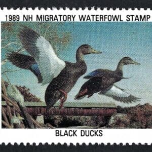 Scott# NH8 "1989 NEW HAMPSHIRE STATE DUCK" MNH, NICELY CENTERED