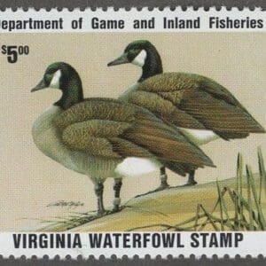 Scott# VA02 "1989 VIRGINIA STATE DUCK" MNH, NICELY CENTERED