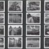 Scott# 5854 "ANSEL ADAMS-PHOTOGRAPHER" S/A MNH SINGLES SET (16)