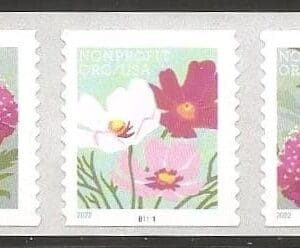 Scott# 5664-65 "BUTTERFLY GARDEN FLOWERS" MNH PNC7 P#B1111