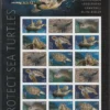 Scott# 5865-70 "PROTECT SEA TURTLES" MNH FULL SHEET (18) NICELY CENTERED