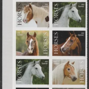 Scott# 5891-95 "HORSES" MNH PLATE BLOCK (10) NICELY CENTERED
