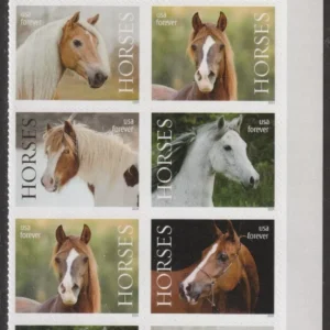 Scott# 5891-95 "HORSES" MNH PLATE BLOCK (10) NICELY CENTERED - Image 2