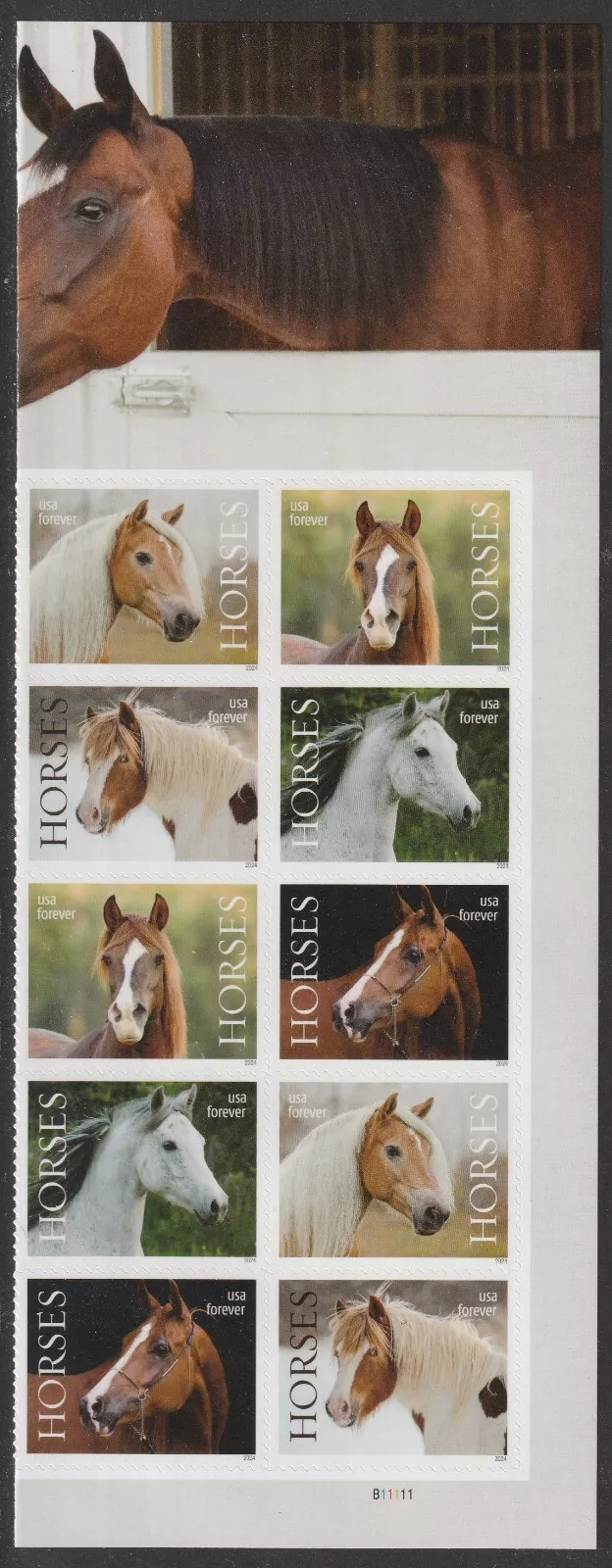 Scott# 5891-95 "HORSES" MNH PLATE BLOCK (10) NICELY CENTERED - Image 2