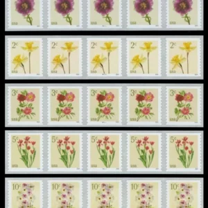 Scott# 5902-5906 "FLOWERS" MNH SET of (5) PNC(5)s
