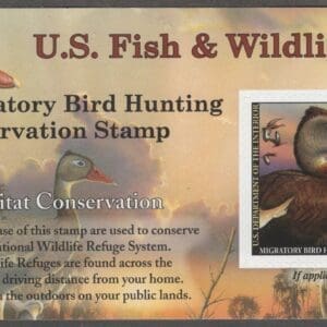 Scott# RW87a "DUCK STAMP" 2014 "CANVAS BACKS" MNH, VERY NICELY CENTERED