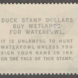 Alternative view of Scott# RW30 "DUCK STAMP" 1963 "BRANT DUCKS" MINT, NICELY CENTERED